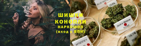 прущие грибы Медвежьегорск