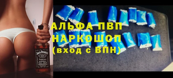 прущие грибы Медвежьегорск