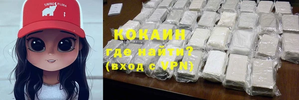 прущие грибы Медвежьегорск