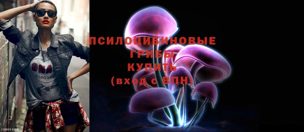 стаф Магас