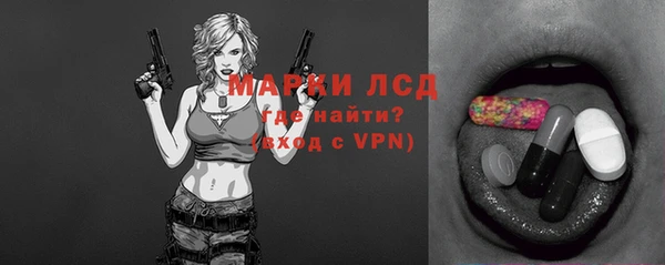 прущие грибы Медвежьегорск