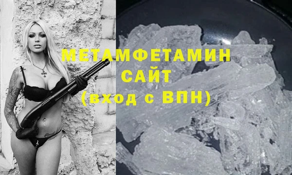 прущие грибы Медвежьегорск