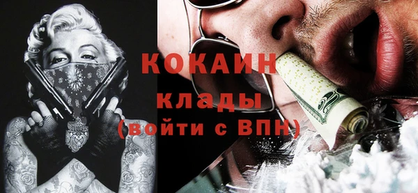прущие грибы Медвежьегорск