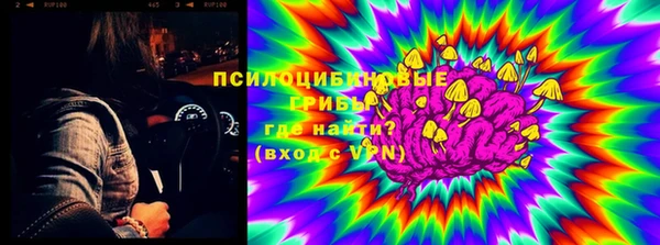 стафф Мегион