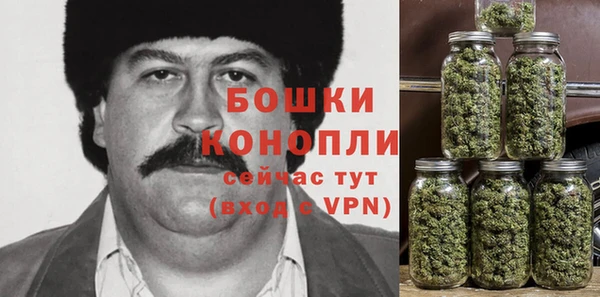 прущие грибы Медвежьегорск