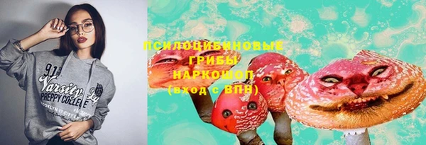 стафф Мегион