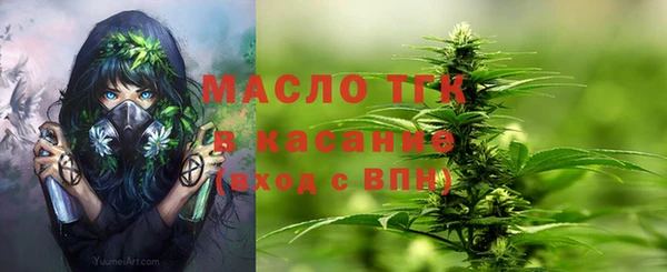 прущие грибы Медвежьегорск