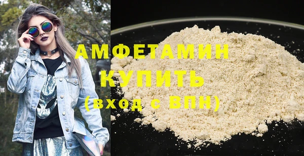 прущие грибы Медвежьегорск
