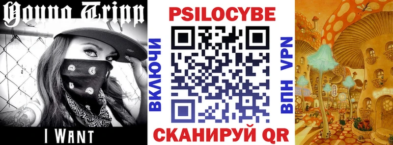 Галлюциногенные грибы Magic Shrooms  как найти   МЕГА маркетплейс  Весьегонск 